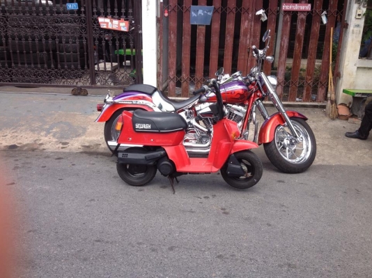 ขายมอเตอร์ไซด์ Honda Squash 50 cc ญี่่ปุ่นมือสอง ตัวเล็กน่ารัก วิ่งดี ช่วงล่างแน่น สภาพสวยๆ ไม่ค่อยได้ใช้งาน 10,000 บาท สนใจโทรสอบถามนะคะ 0892212339