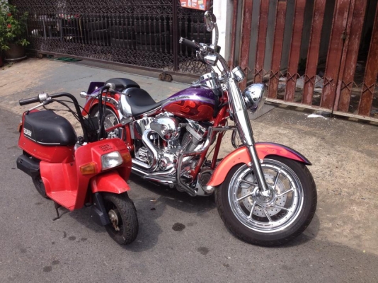 ขายมอเตอร์ไซด์ Honda Squash 50 cc ญี่่ปุ่นมือสอง ตัวเล็กน่ารัก วิ่งดี ช่วงล่างแน่น สภาพสวยๆ ไม่ค่อยได้ใช้งาน 10,000 บาท สนใจโทรสอบถามนะคะ 0892212339