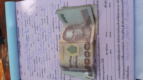 ขายหัวคัสซี  FC4J ยาว 5.5 เมตร ปี 44 เครื่อง 140 แรง