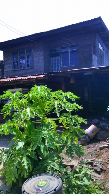 ขายบ้านไม้2ชั้นพร้อมที่