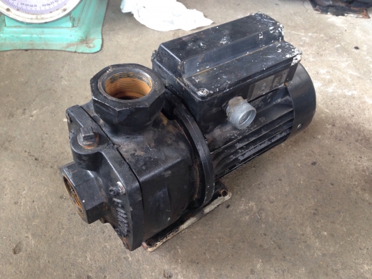 ขายปั้มน้ำหอยโข่ง Grundfos 1.5HP. 220V ไฟบ้าน วิ่งนิ่ม สภาพสวย พร้อมใช้งาน