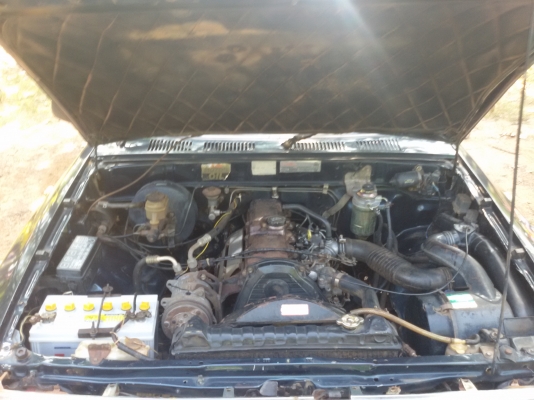 ไมตี้หัวเดียว ถูกๆ ด่วนสุด 69000 ไมตี้หัวเดียว ถูกๆ ด่วนสุด 69000