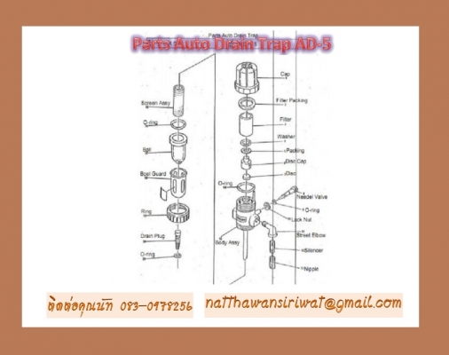 Auto Drain หรือ ตัวระบายน้ำอัตโนมัติ