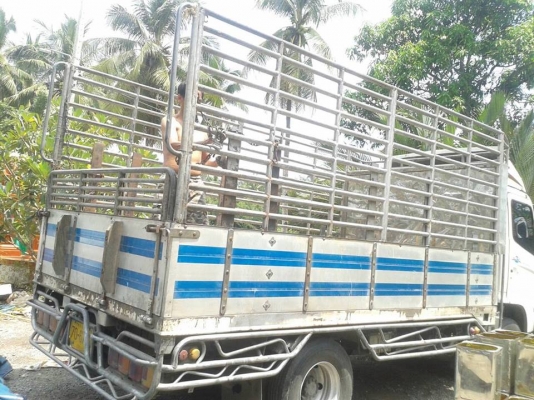 เมก้า 150แรง จดทะเบียนปี47