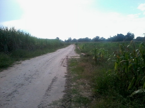 ขายที่ดินทำเลดี 15-0-6 ไร่ ราคา 170,000 บาท/ไร่ บ้านใหม่ กม.9 อ.สีคิ้ว ขายที่ดินทำเลดี 15-0-6 ไร่ ราคา 170,000 บาท/ไร่ บ้านใหม่ กม.9 อ.สีคิ้ว