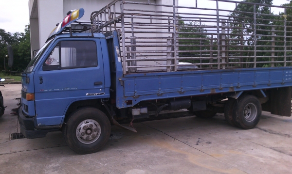 ขายรถ6ล้อ ISUZU 115 NPR สั่งลุย5เมตร