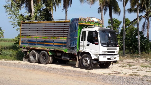 ขาย 10 ล้อ 1 เพลา  เดก้า 195 ดั้มคอกเกษตร