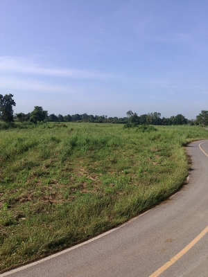 ยกเลิกการขายครับ