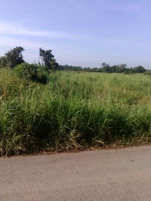 ยกเลิกการขายครับ