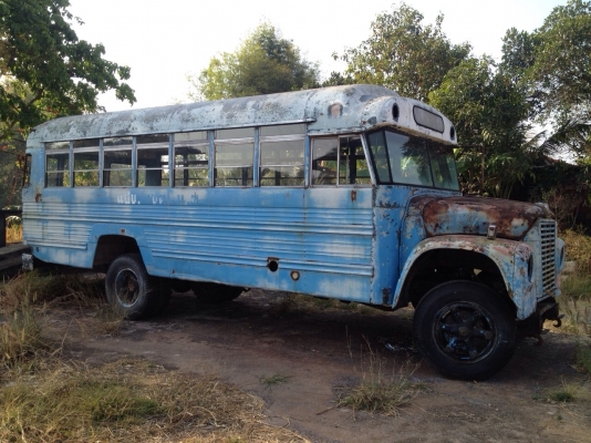 ขาย Inter school bus