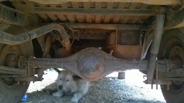 ขาย ISUZU KB 2200 รถใช้งานอยู่ทุกวัน ทะเบียนพร้อม ราคาต่อรองได้