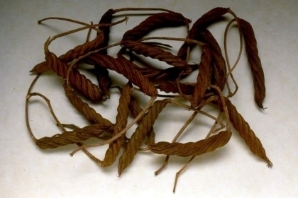 ขายปอกะบิด ราคาถูก