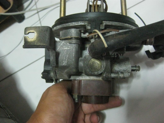 ปีกผีเสื้อ Fiat Punto 55