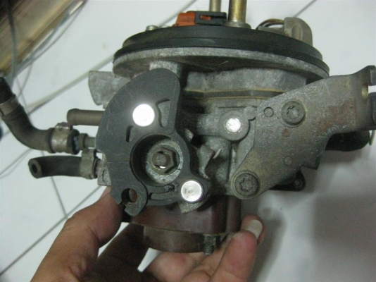 ปีกผีเสื้อ Fiat Punto 55