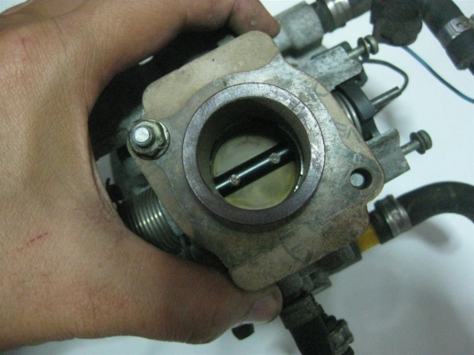 ปีกผีเสื้อ Fiat Punto 55