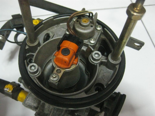 ปีกผีเสื้อ Fiat Punto 55