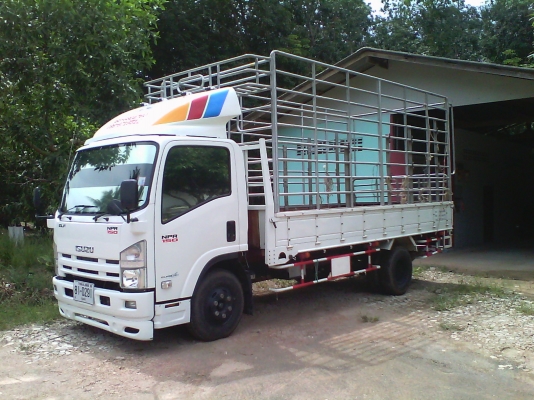 ขุยมะพร้าว