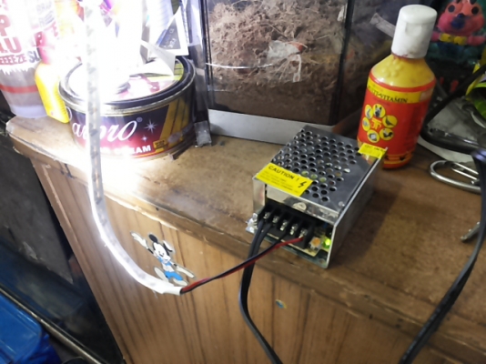 LED สีขาว สีเขียว แบบเส้น ยาว 5 เมตร กันน้ำ ราคาถูก LED สีขาว สีเขียว แบบเส้น ยาว 5 เมตร กันน้ำ ราคาถูก