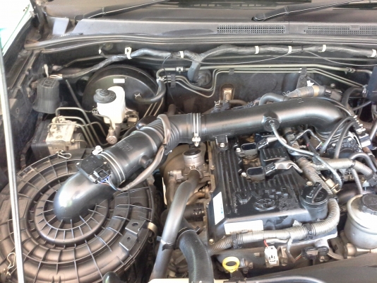 ขายฟอจูนย์ 2008 ขายฟอจูนย์ 2008