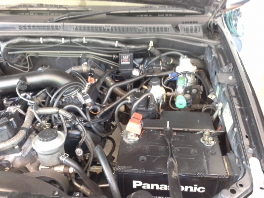 ขายฟอจูนย์ 2008 ขายฟอจูนย์ 2008