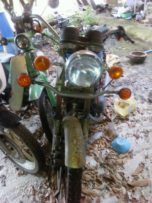 suzuki gt 250