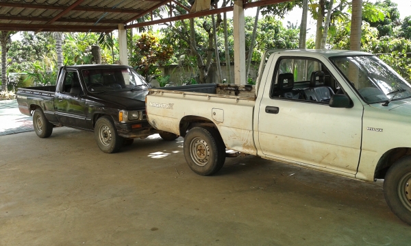 ขายไมตี้ช่วงสั้น4ขอ ขายไมตี้ช่วงสั้น4ขอ