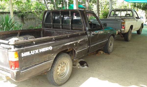 ขายไมตี้ช่วงสั้น4ขอ ขายไมตี้ช่วงสั้น4ขอ