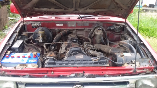 ไมตี้ X ปี36