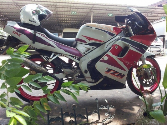 ขาย tzm 150 ขาย tzm 150