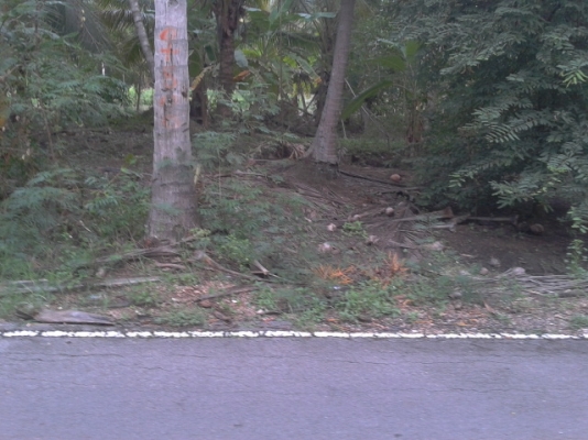 ที่ดินสมุทรสงครามติดน้ำ