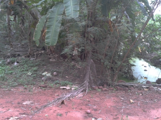 ที่ดินสมุทรสงครามติดน้ำ