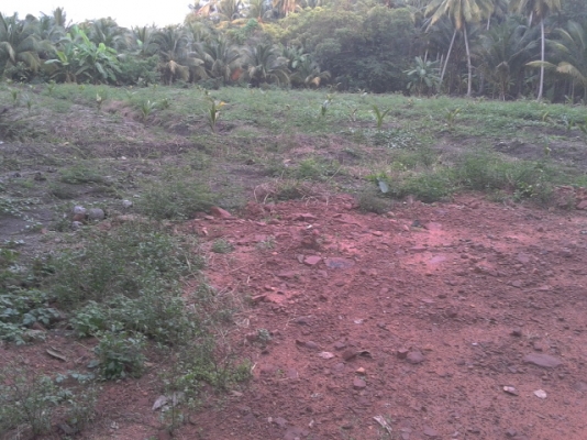 ที่ดินสมุทรสงครามติดน้ำ