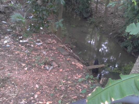 ที่ดินสมุทรสงครามติดน้ำ