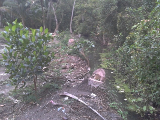 ที่ดินสมุทรสงครามติดน้ำ