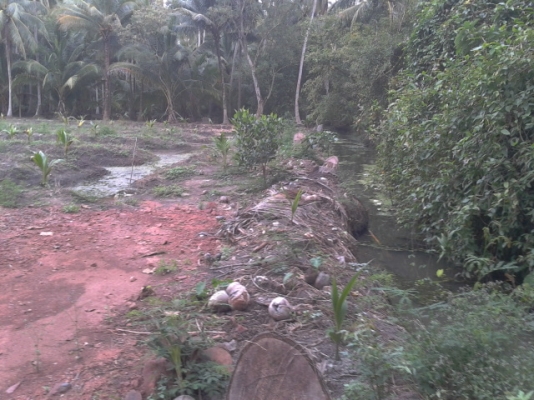 ที่ดินสมุทรสงครามติดน้ำ