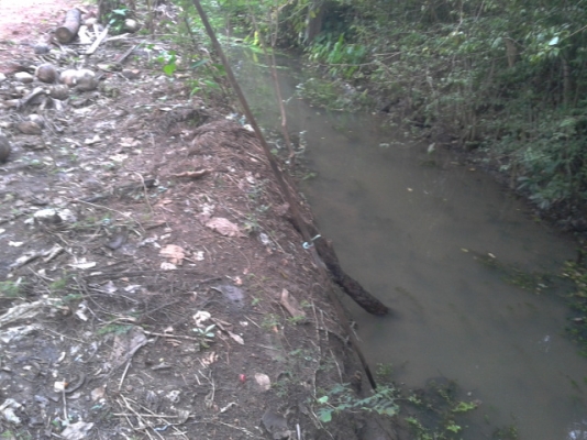 ที่ดินสมุทรสงคราม1ไร่ ติดน้ำติดถนนสวยๆราคาถูก