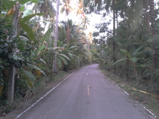 ที่ดินสมุทรสงคราม1ไร่ ติดน้ำติดถนนสวยๆราคาถูก