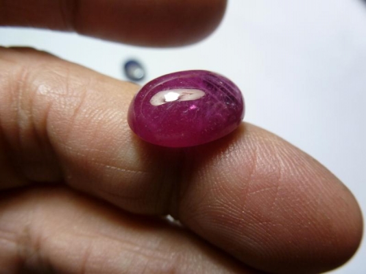 พลอยทับทิมหลังเบี้ยแท้