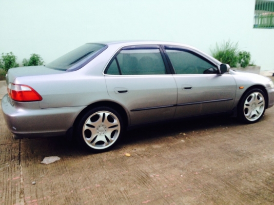 honda accord งูเห่า