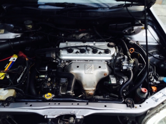 honda accord งูเห่า