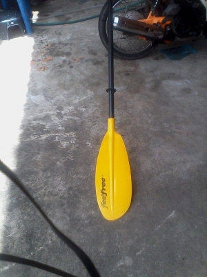 ไม้พาย คายัค ของ ฟีลฟรี นิวซีแลนด์