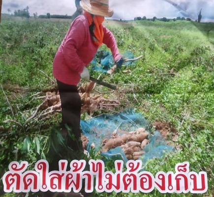 **87,000 บ.ต่อรอง**ขาย"ลิฟท์ยกผลผลิตการเกษตรแบบดั้มได้" สภาพต่อใหม่ ยังไม่ผ่านการใช้งาน เหล็กหนาแข็งแรงทนทาน งานฝีมือคุณภาพ ใช้งานง่าย สะดวก ต่อพ่วงกับรถไถได้ทุกร่น/ทุกยี่ห้อ ที่มีระบบ PTO ระบบยกด้วยPTO ดั้มด้วยระบบไฮดรอลิก ยก/จุ/ดั้ม ได้ 600 กก **87,000 บ.ต่อรอง**ขาย"ลิฟท์ยกผลผลิตการเกษตรแบบดั้มได้" สภาพต่อใหม่ ยังไม่ผ่านการใช้งาน เหล็กหนาแข็งแรงทนทาน งานฝีมือคุณภาพ ใช้งานง่าย สะดวก ต่อพ่วงกับรถไถได้ทุกร่น/ทุกยี่ห้อ ที่มีระบบ PTO ระบบยกด้วยPTO ดั้มด้วยระบบไฮดรอลิก ยก/จุ/ดั้ม ได้ 600 กก