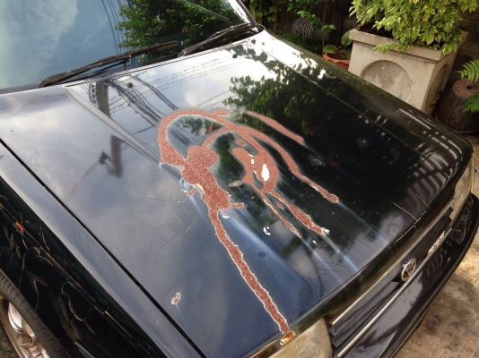 โตโยต้า ตู้เย็น ((AT151)) เกียร์ออโต้ (คุณตั้ม 081-6847247)