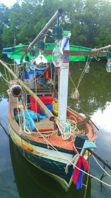 ขายเรือประมงตกปลา-ไดร์หมึก