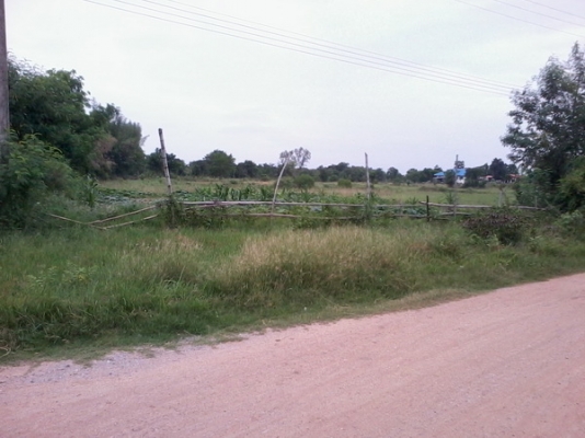 ขายที่ดิน 3 ไร่ 2 งาน ติดทางสาธารณะ ติดหมู่บ้านห้วยลึก ราคา 250,000 บาทต่อไร่ สีคิ้ว ขายที่ดิน 3 ไร่ 2 งาน ติดทางสาธารณะ ติดหมู่บ้านห้วยลึก ราคา 250,000 บาทต่อไร่ สีคิ้ว