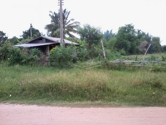 ขายที่ดิน 3 ไร่ 2 งาน ติดทางสาธารณะ ติดหมู่บ้านห้วยลึก ราคา 250,000 บาทต่อไร่ สีคิ้ว ขายที่ดิน 3 ไร่ 2 งาน ติดทางสาธารณะ ติดหมู่บ้านห้วยลึก ราคา 250,000 บาทต่อไร่ สีคิ้ว