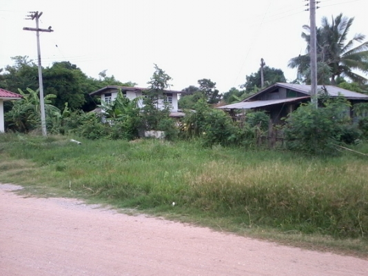 ขายที่ดิน 3 ไร่ 2 งาน ติดทางสาธารณะ ติดหมู่บ้านห้วยลึก ราคา 250,000 บาทต่อไร่ สีคิ้ว ขายที่ดิน 3 ไร่ 2 งาน ติดทางสาธารณะ ติดหมู่บ้านห้วยลึก ราคา 250,000 บาทต่อไร่ สีคิ้ว