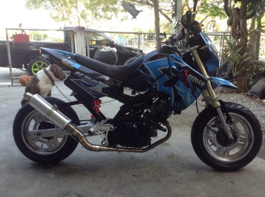 ขายแล้วคับ ขอบคุณคับ TRUCK HAND 2