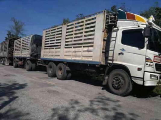 รถฮีโน่  10 ล้อ หลังถนน ( ไม่ดั๊ม )  260 แรงม้า  ปี 49   สนใจติดต่อ  081 - 6079515