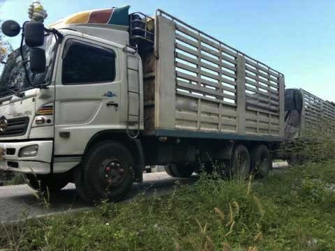 รถฮีโน่  10 ล้อ หลังถนน ( ไม่ดั๊ม )  260 แรงม้า  ปี 49   สนใจติดต่อ  081 - 6079515